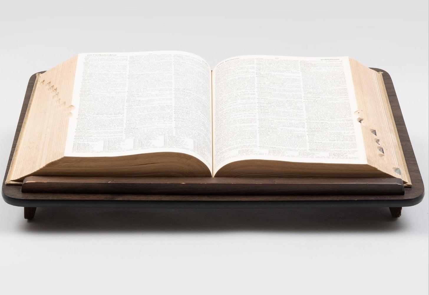 Didion dictionary